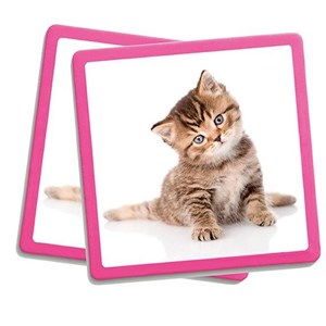 Akros maxi memory les animaux de compagn