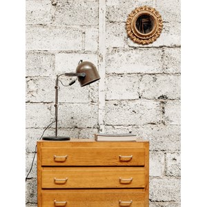 Georges, le miroir doré n°495