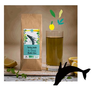 Coffret yerba maté dégustation