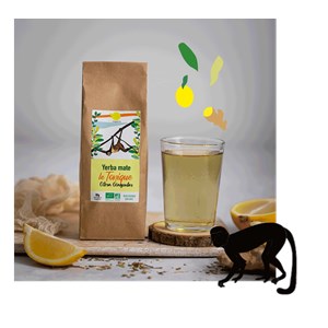 Coffret yerba maté dégustation