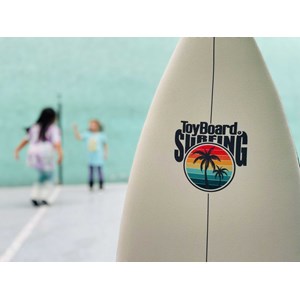 Plateau d'équilibre toyboard® surfing