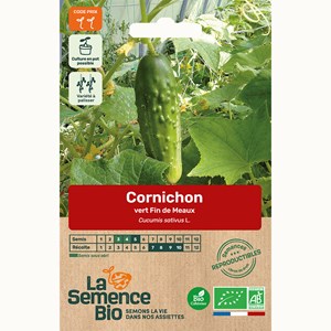 Cornichon vert fin de meaux - graines bi