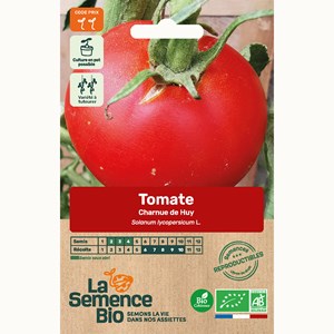 Tomate charnue de huy - graines bio