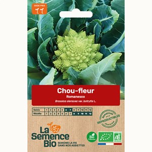 Chou-fleur romanesco - graines bio