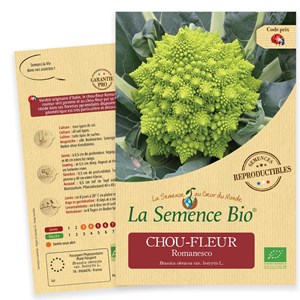Chou-fleur romanesco bio