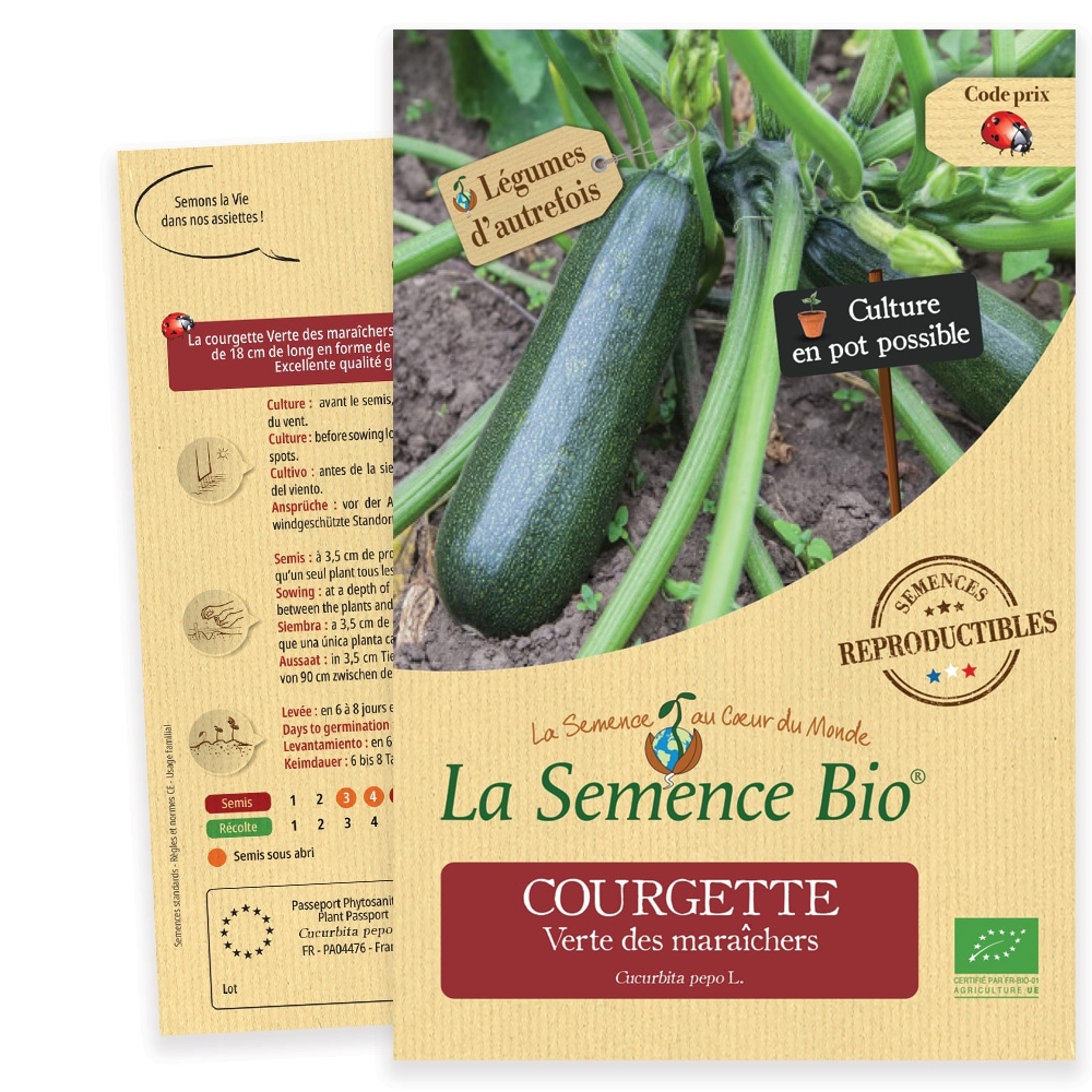 COURGETTE Verte des maraîchers Bio