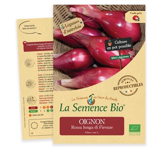 Oignon rossa lunga di firenze bio