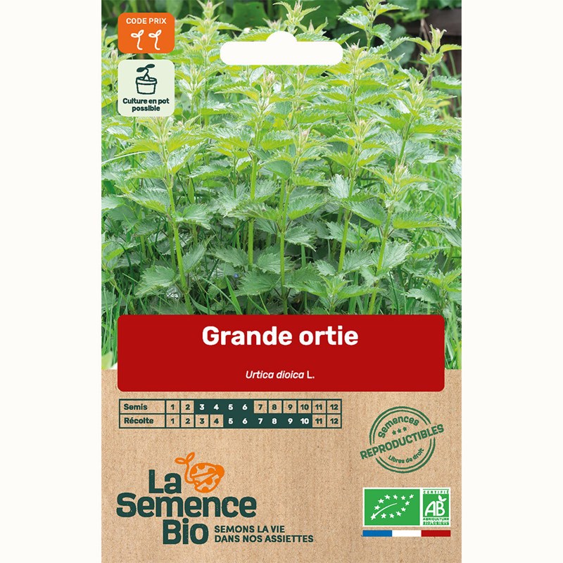 Grande ortie - graines bio