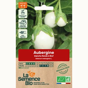 Aubergine blanche ronde à 'uf - graines