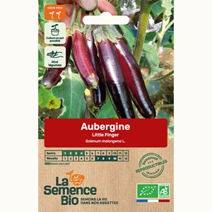 Aubergine little finger - graines bio