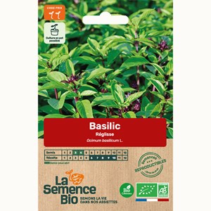 Basilic réglisse - graines bio