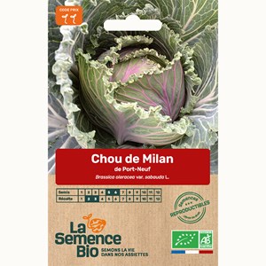 Chou de milan de port-neuf - graines bio