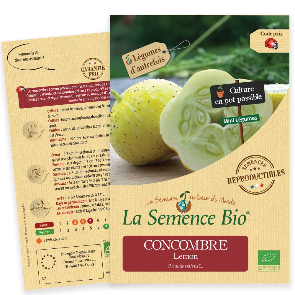 Concombre Lemon Bio - Graine Concombre