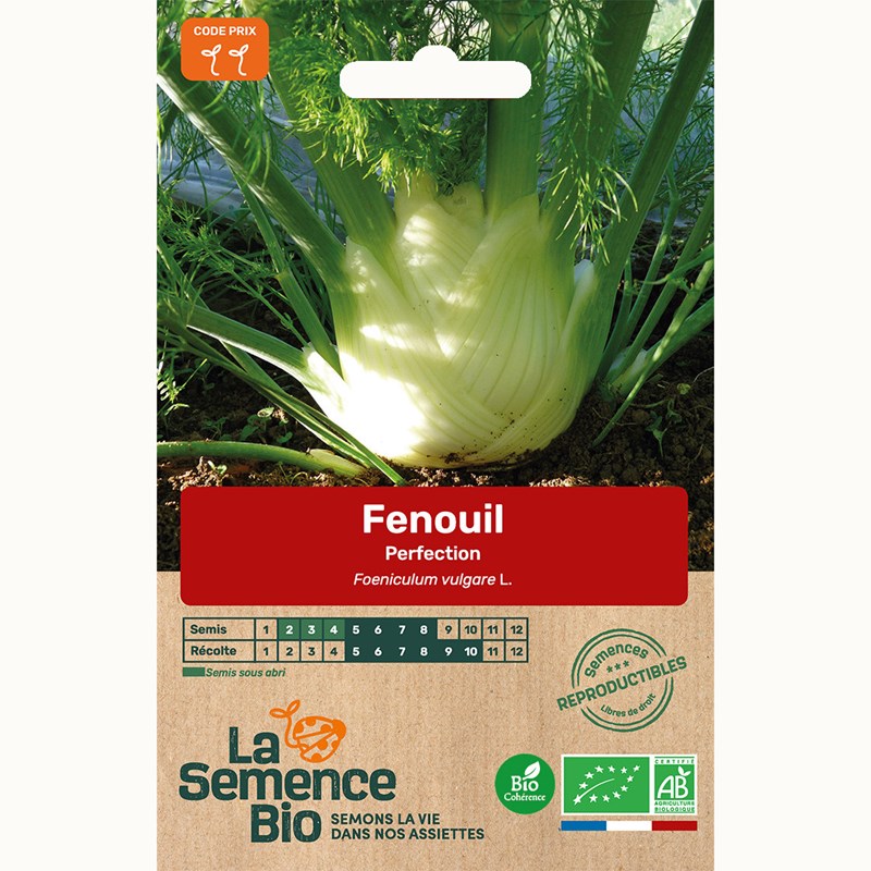 Fenouil perfection - graines bio