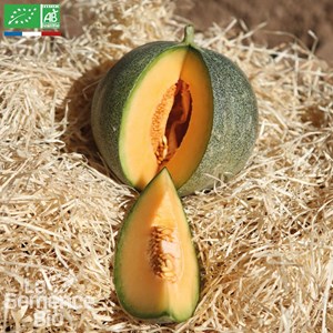 Melon petit gris de rennes - graines bio