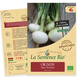 Oignon blanc premier bio