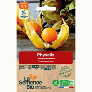 Physalis coqueret du pérou - graines bi