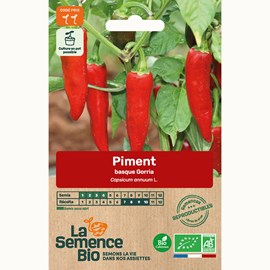 Piment gorria - graines bio