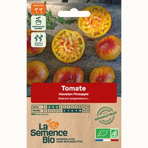 Tomate hawaiian pineapple - graines bio