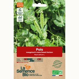 Pois mangetout à rame sweet horizon - g