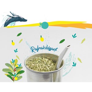 Yerba maté menthe citron – le frais
