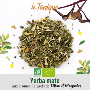 Maté citron gingembre – le tonique