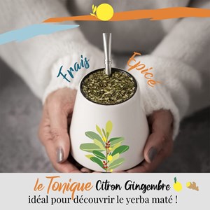 Maté citron gingembre – le tonique