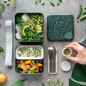 Bento mb square graphic jungle