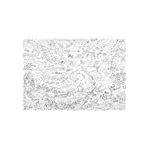 Mes posters à colorier océans