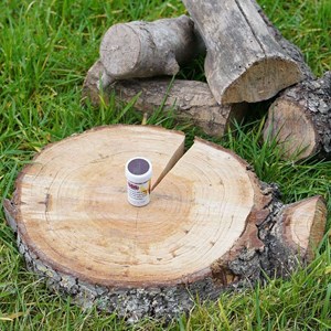 Boite étanche + allumettes de survie bc