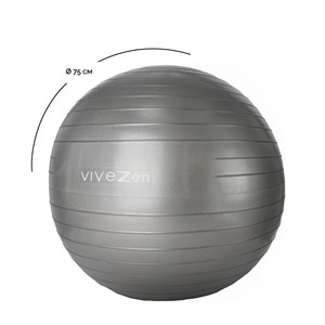 Ballon de yoga - 75 cm - gris