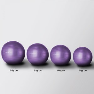 Ballon de yoga - 65 cm - violet
