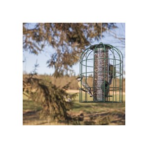 Mangeoire oiseaux pare-écureuils