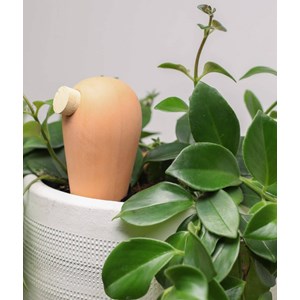 Coffret 3 ollas jade - 2s et 1m