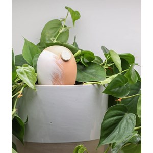 Coffret 3 ollas jade - 2s et 1m