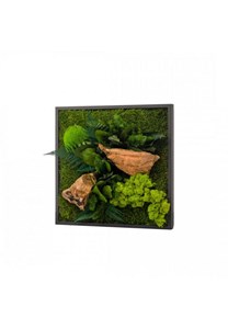 Tableau végétal canopee carré 35 x 35 cm
