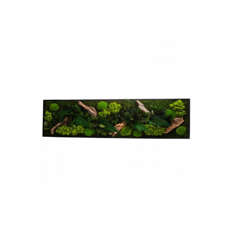 Naturalys - Tableau végétal canopee panoramic 115 x