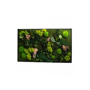 Tableau végétal canopee rectangle 60 x 1