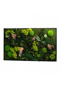 Tableau végétal canopee rectangle 60 x 1