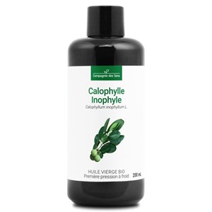 Huile de calophylle inophyle bio - 200ml - fraîcheur garantie oxycert® - vierge
