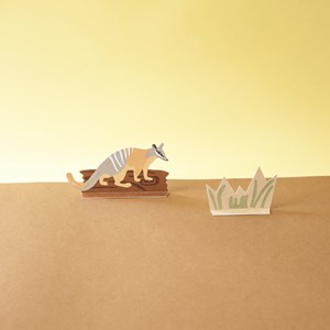 Diorama - le numbat et son habitat