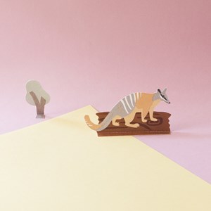 Diorama - le numbat et son habitat