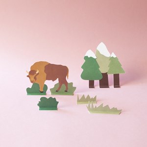 Diorama - le bison et son habitat