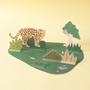 Diorama - l'oncille et son habitat