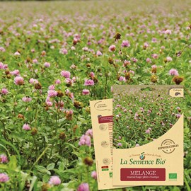 Mélange maraîchage plein champs - grai