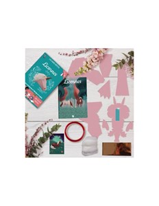 Kit créatif licorne