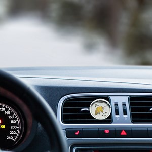 Diffuseur voiture clip'arôme licorne