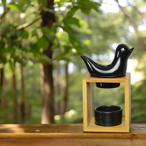 Brûle-parfum et senteurs birdy noir