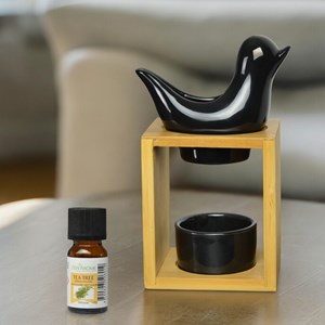 Brûle-parfum et senteurs birdy noir