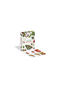 Mémo des insectes